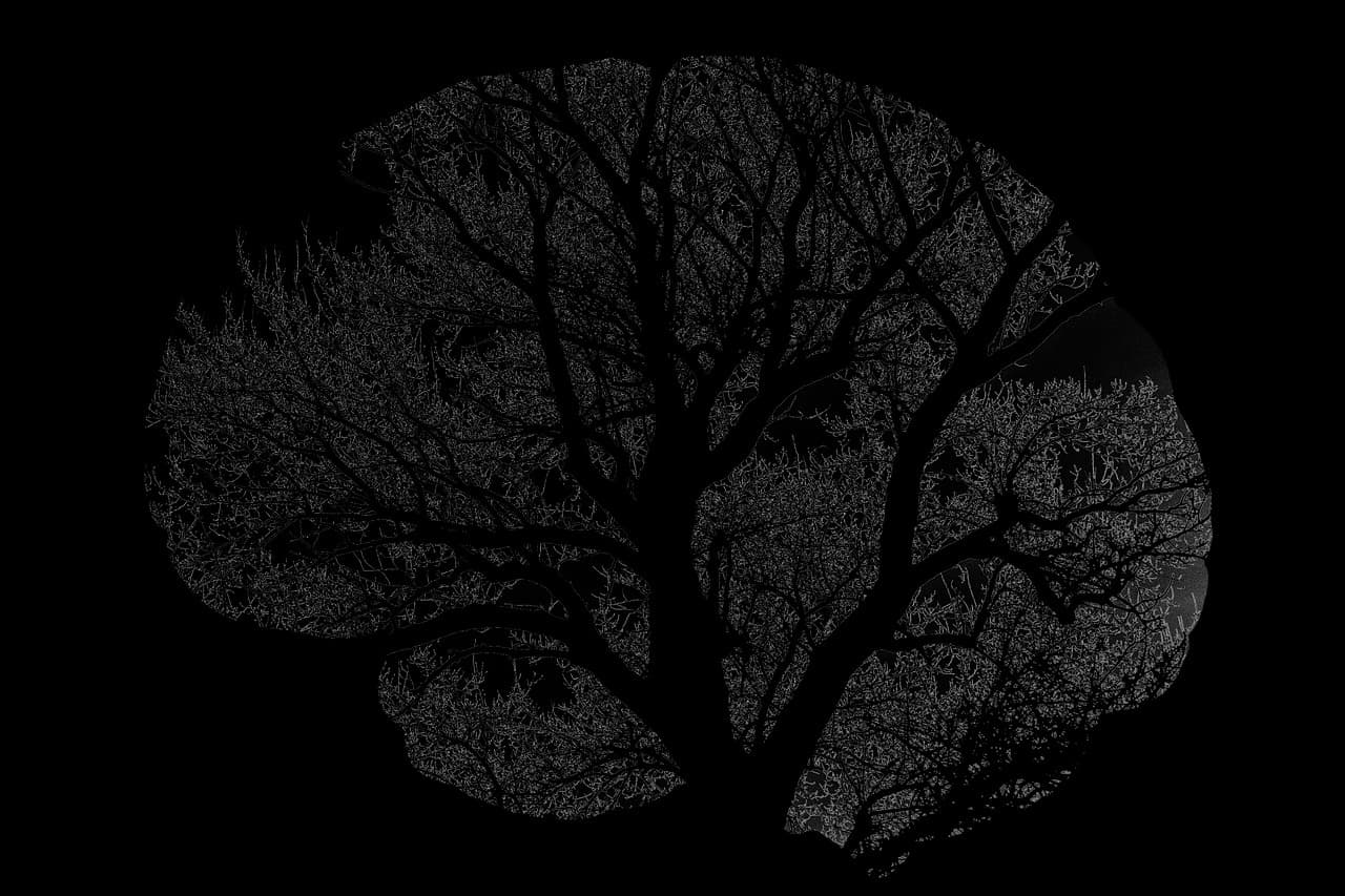 명상과 두뇌 건강은 집중력과 감정 조절 능력 향상 시키는 명상법