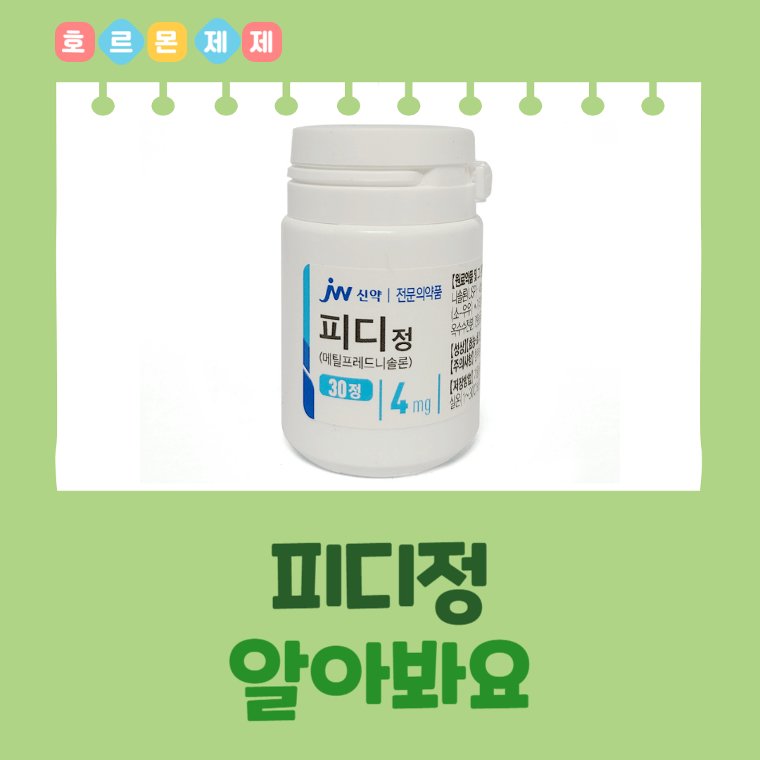 피디정