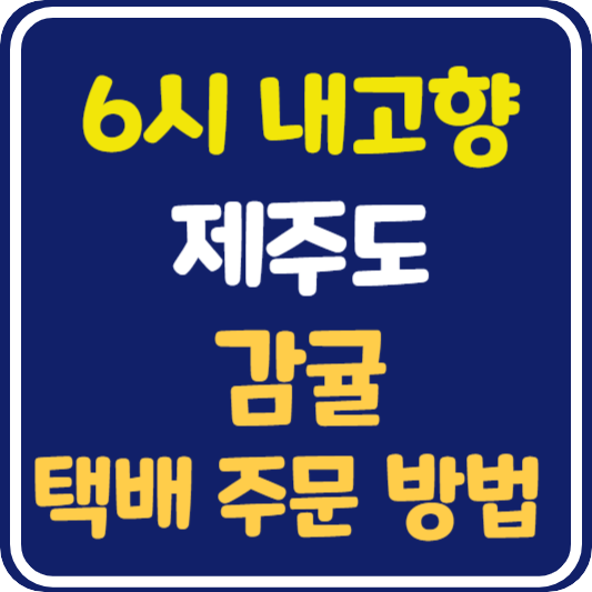 6시 내고향 제주 감귤 택배 주문 방법