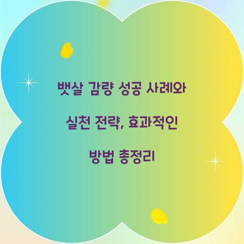 뱃살 감량 성공 사례와 실천 전략