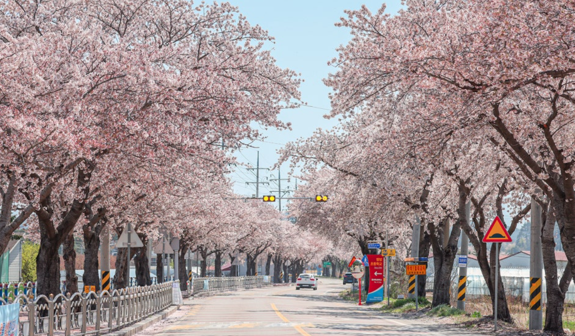 전라도 봄 여행 당일로 충분한 곳 남원 담양 전주