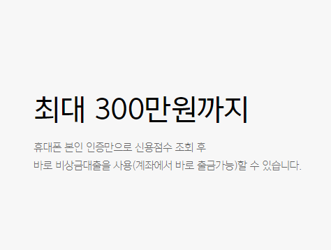 카카오뱅크 비상금대출