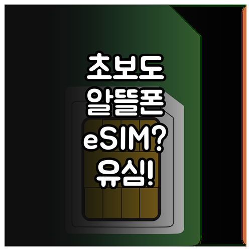 초보자도 쉽게 이해하는 알뜰폰 eSI..