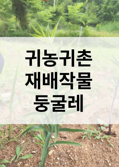 귀농귀촌재배작물