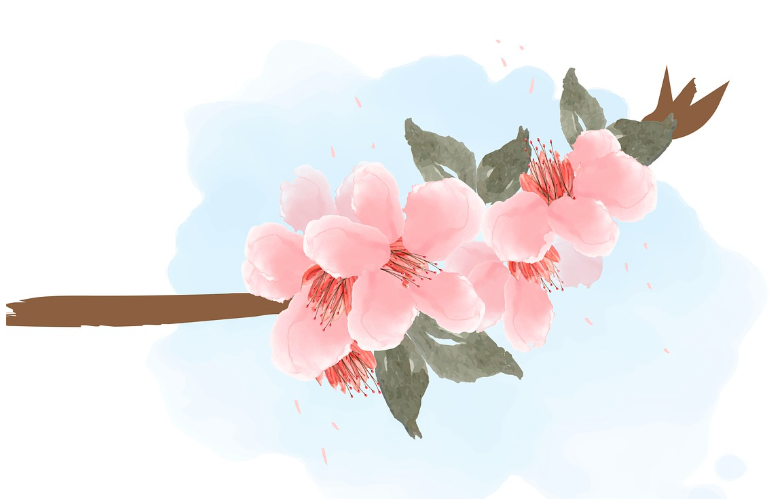 전국 벚꽃 축제 일정 총정리