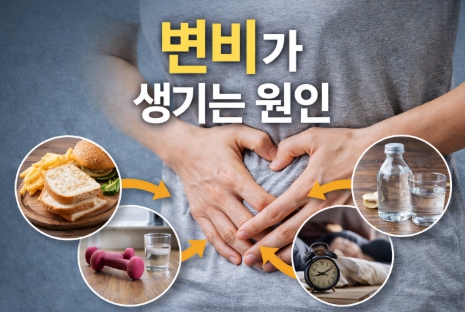 변비가 생기는 원인과 장 건강에 도움되는 생활습관 이미지