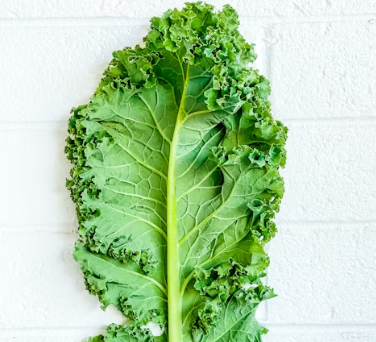 백내장에 좋은 음식 영양제 식단