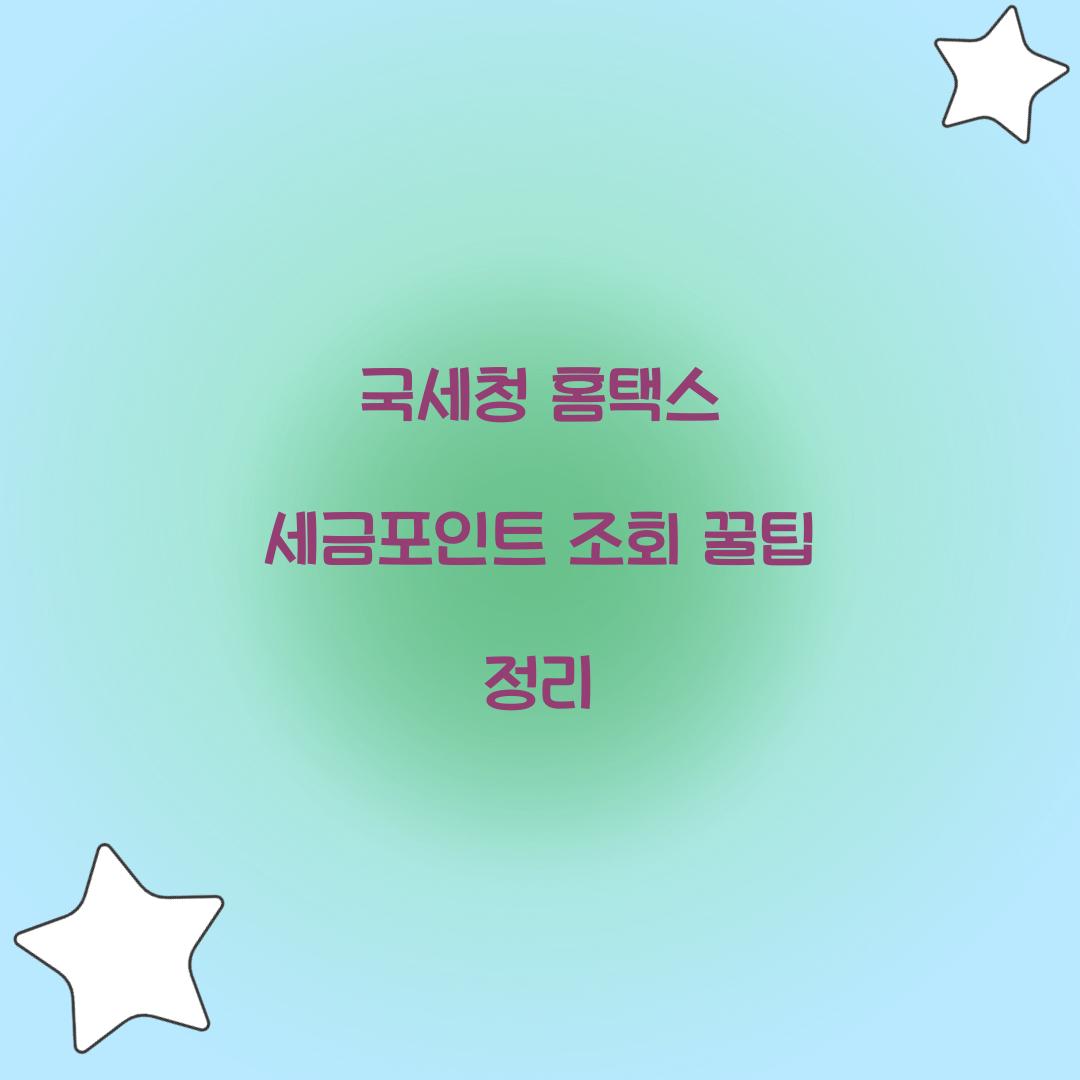 국세청 홈택스 세금포인트 조회