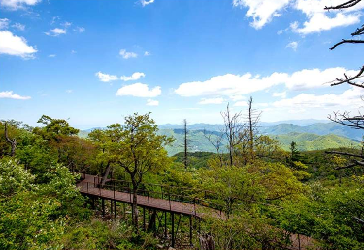 발왕수 가든 산책길