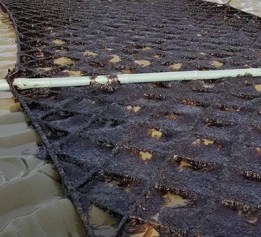 고창-지주식-김