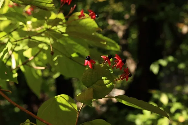 상생누리 누리집 홈페이지 바로가기wwwwinwinnurikr로 이용안내_4