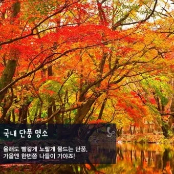 가을 단풍 명소 대중교통 걷기 코스 무료주차 팁_8