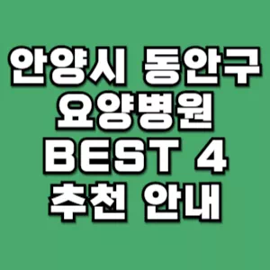 안양시-동안구-요양병원