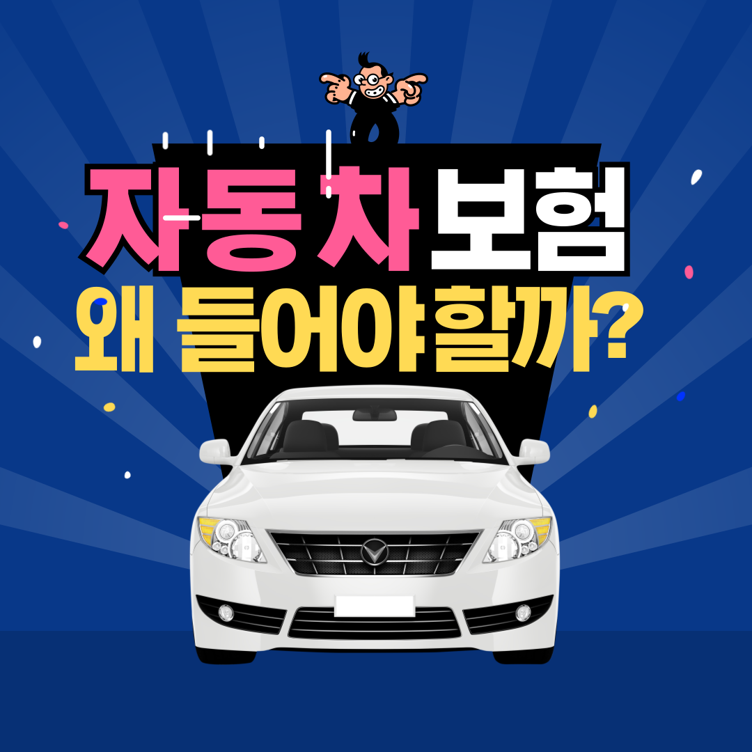 자동차보험
