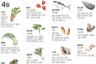 4월 제철음식 제철 생선 과일 채소 모음_4