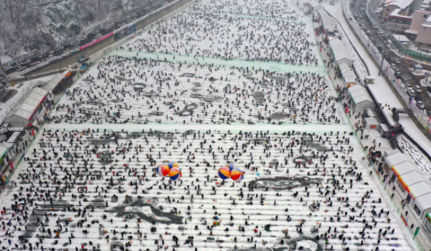 2025 화천 산천어축제 완벽 가이드 일정, 체험, 꿀팁 총정리!