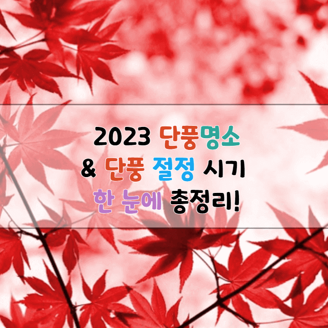 주왕산 단풍시기