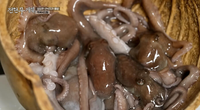 산낙지