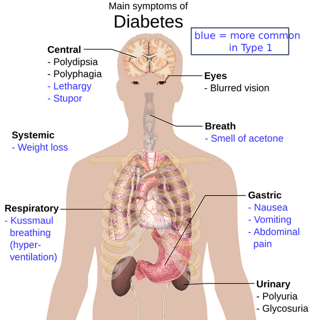 신장 건강에 영향을 미치는 유산균의 종류 추천