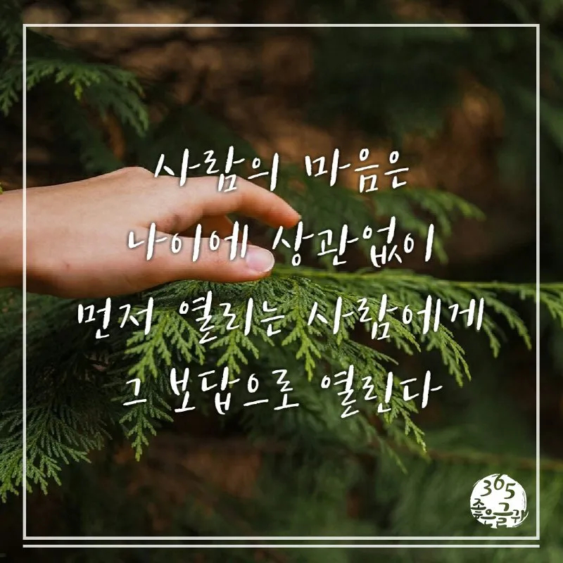 좋은 짧은 글귀 가슴을 울리는 짧은 감동 글귀 추천 모음집_3