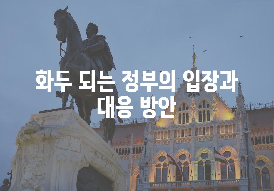 화두 되는 정부의 입장과 대응 방안