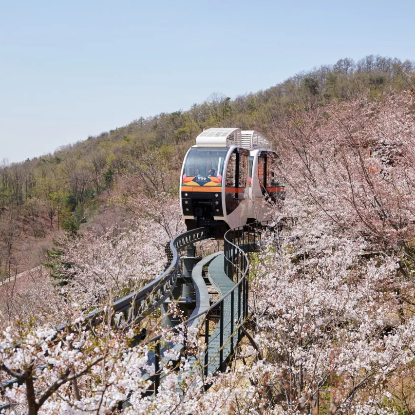 화담숲 예약 & 방문 가이드 | 봄 벚꽃부터 가을 단풍까지 완벽 정리