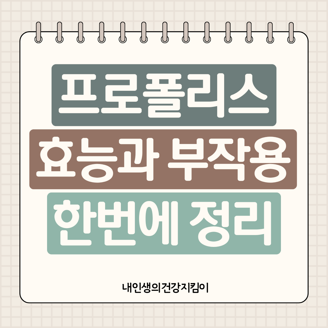 프로폴리스 효능과 부작용 ❘ 구강 건강부터 항산화까지 한번에 정리