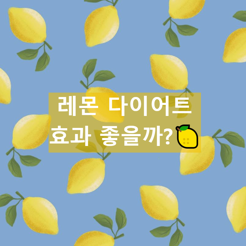 레몬다이어트 효과