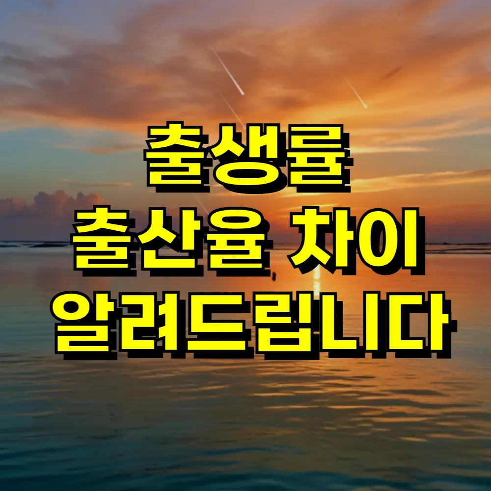 출생률 출산율 차이 알려드립니다