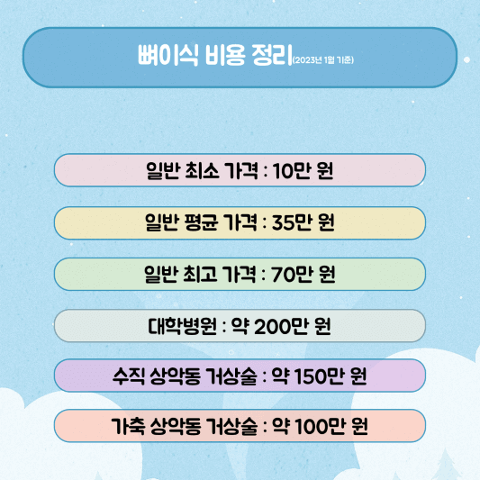 뼈이식 비용 정리(23년 1월 기준) 표
최소 10만원, 평균 35만원, 최고 70만원, 대학병원 200만원, 수직 상악동 거상술 150만원, 가축 상악동 거상술 100만원 정리한 표 사진