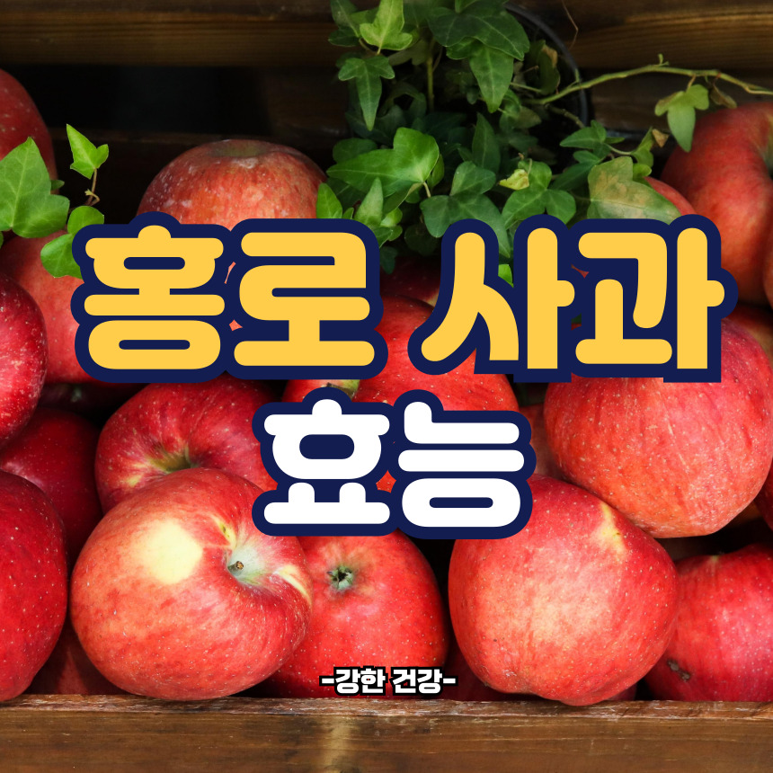 홍로 효능