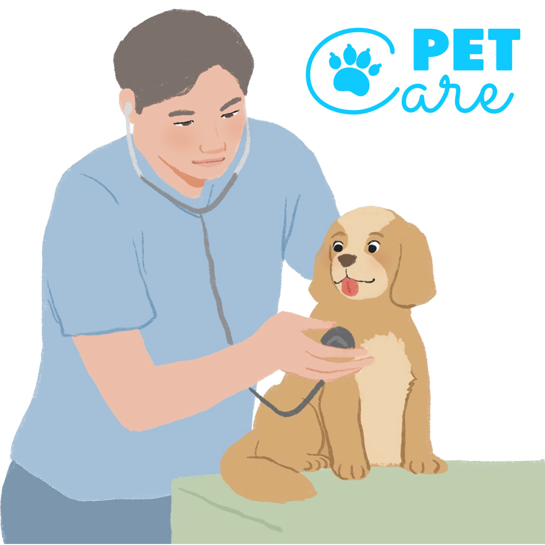 반려견의 건강상태 판단 조건 및 예방접종 시기