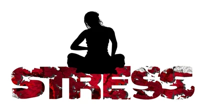 마그네슘과 스트레스