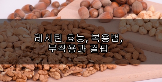레시틴 효능