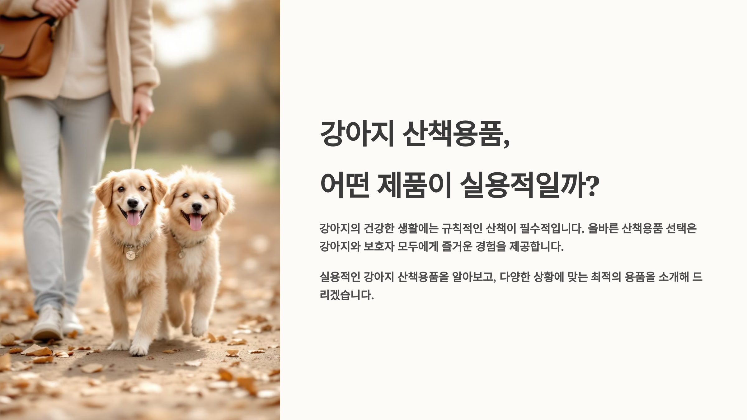 강아지 산책용품, 어떤 제품이 실용적일까?