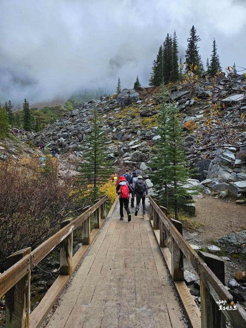 캐나다 모레인 호수 산길