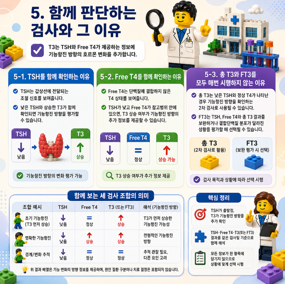 T3와 함께 확인하는 TSH·Free T4 검사와 각 검사의 역할을 설명하는 레고 스타일 메디컬 인포그래픽