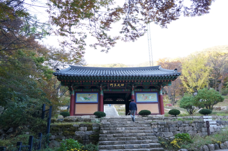 용문사-입구