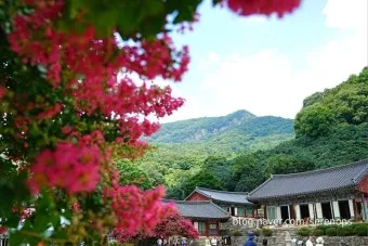 고창 가볼만한곳 베스트10 전북 여행지 추천_14