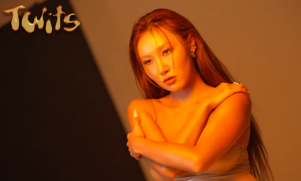 화사 콘서트 FANCON TOUR