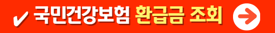 국민건강보험 환급금 조회