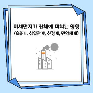 미세먼지가 신체에 미치는 여향