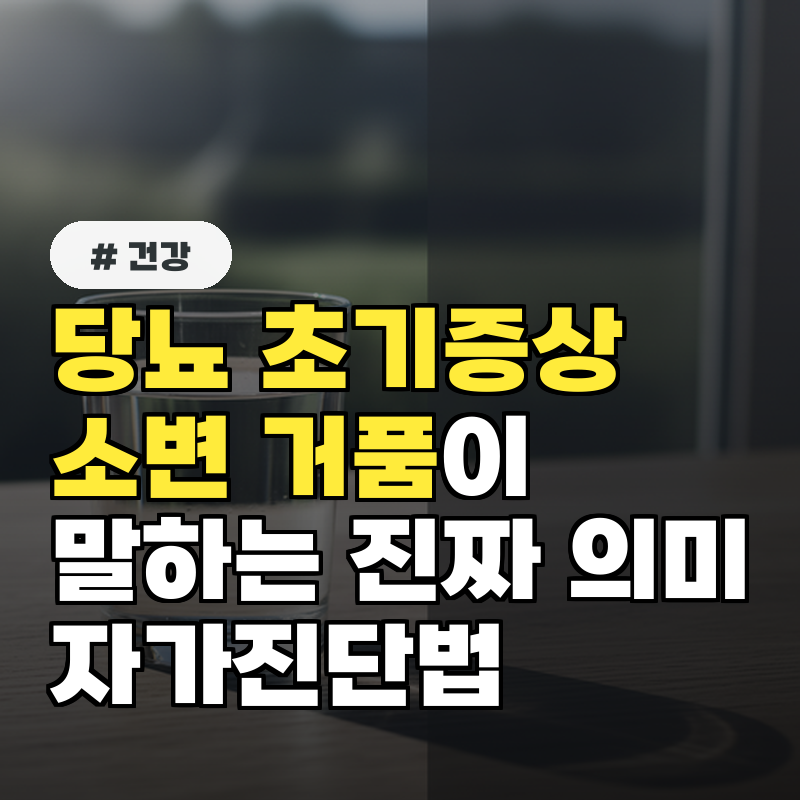 당뇨 초기증상, 소변 거품이 말하는 진짜 의미와 자가진단법