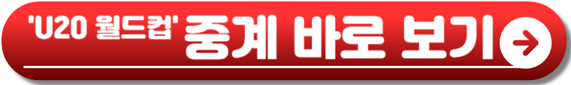 U20 월드컵