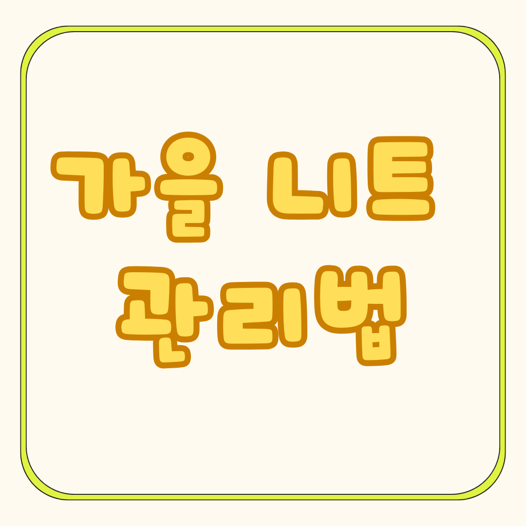 가을 니트 관리법: 오래 입는 꿀팁 &amp; 실수 방지 가이드