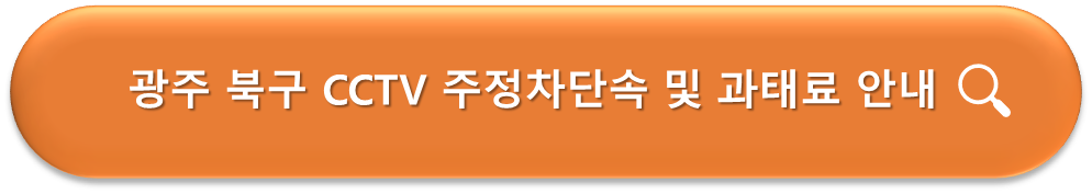 광주북구 주정차단속
