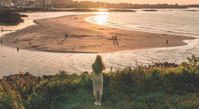 제주 버스투어 핫플버스 관광투어 버스 추천 BEST 05 할인쿠폰 + 매일출발