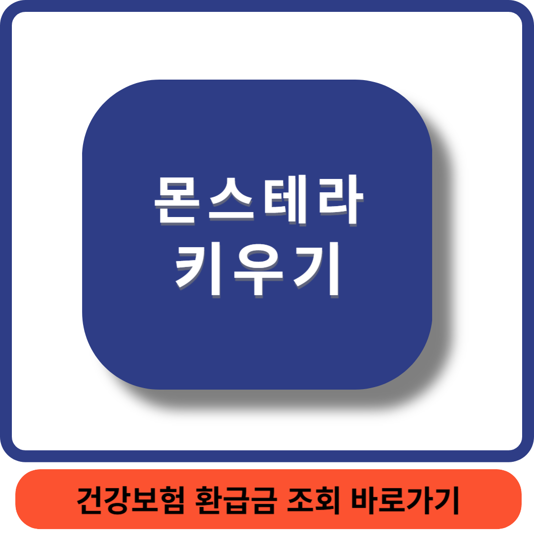 몬스테라썸네일