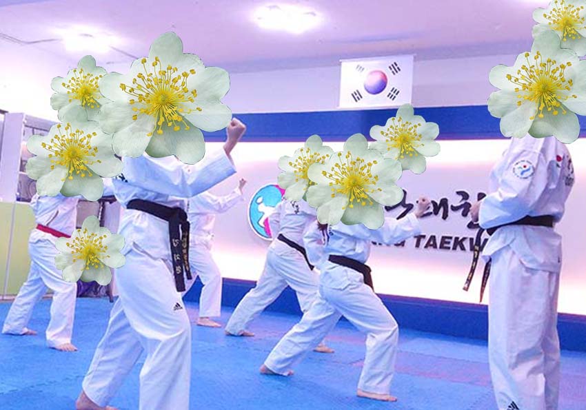 꽃보다 태권도, 찔레꽃