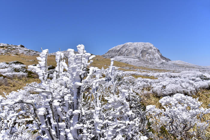 제주도 겨울 트레킹 명소 BEST 5, 한라산·절물·사려니·비자림·용머리해안 코스 정리